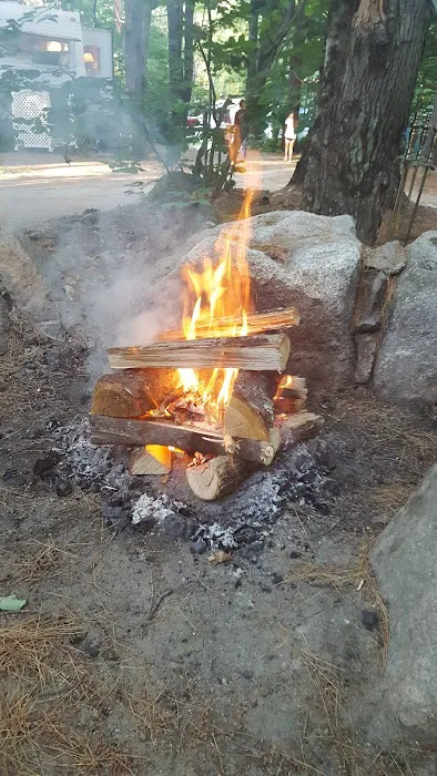 Four Seasons Family Camping Area Picture 4