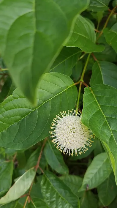 Four Seasons Family Camping Area Picture 10