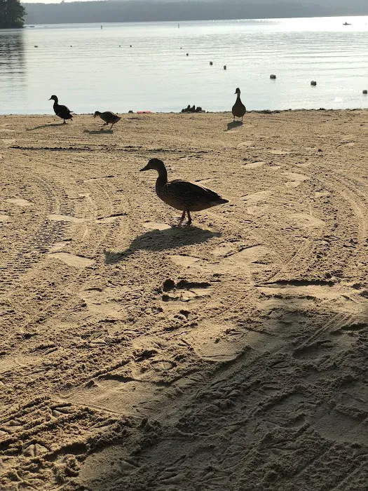 Four Seasons Family Camping Area Picture 9