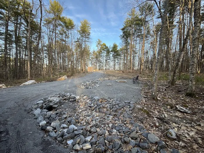 The Queen's Property Picture 6