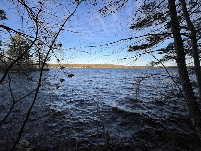 The Queen's Property Picture 7