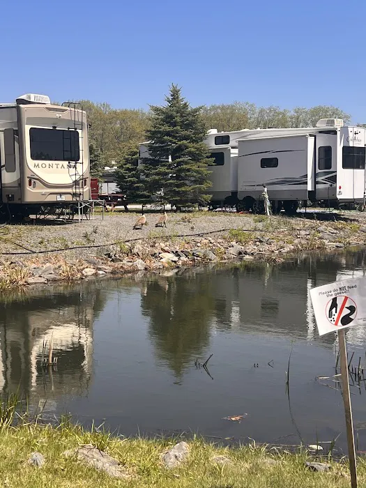 Bayley's Camping Resort Picture 6