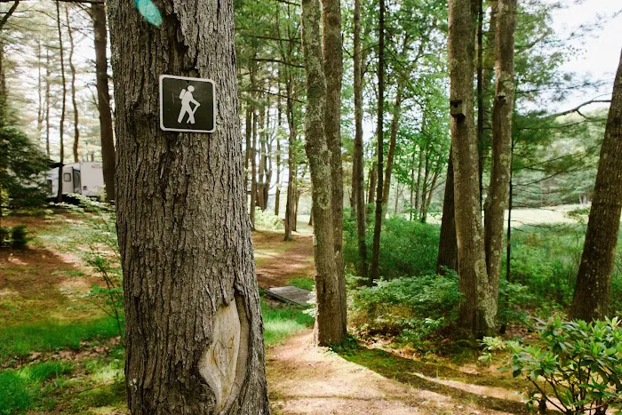 Wild Duck Adult Campground & RV Park Picture 5