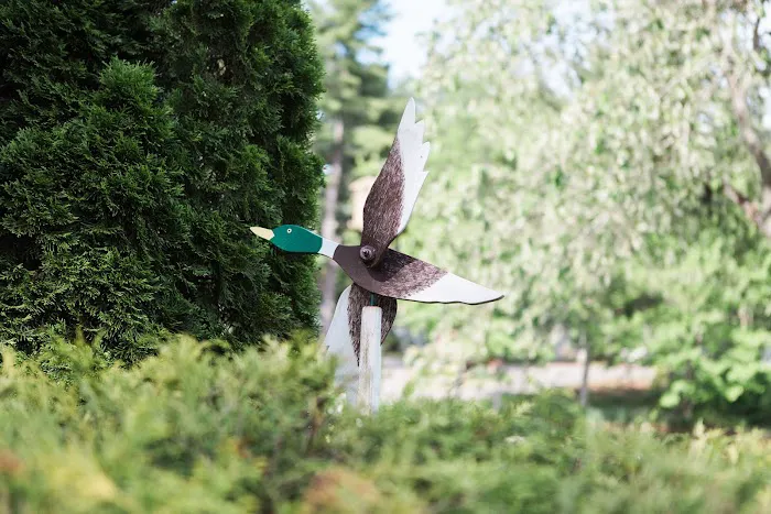 Wild Duck Adult Campground & RV Park Picture 1