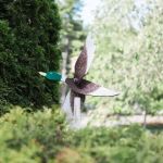 Wild Duck Adult Campground & RV Park