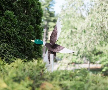 Wild Duck Adult Campground & RV Park