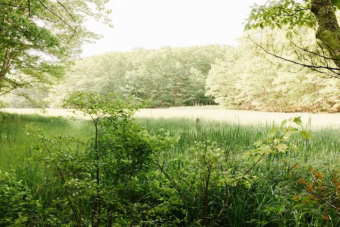 Wild Duck Adult Campground & RV Park Picture 4