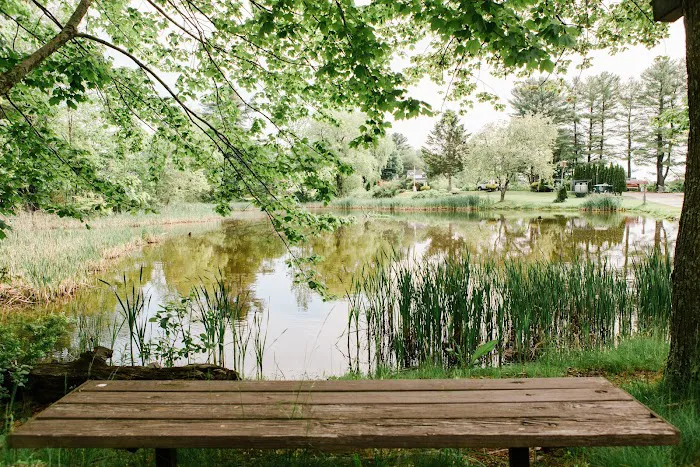 Wild Duck Adult Campground & RV Park Picture 7