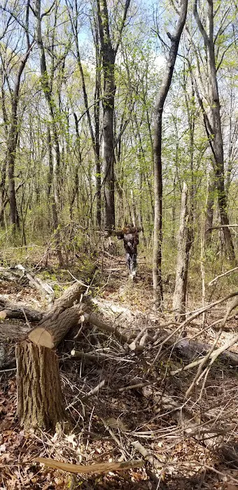 Campsite 100 Picture 4