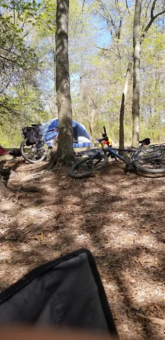 Campsite 100 Picture 5