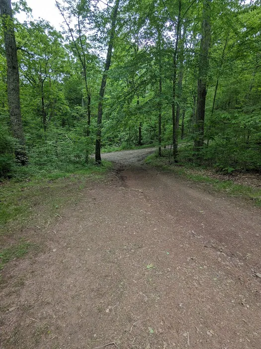 Campsite 53 Picture 1