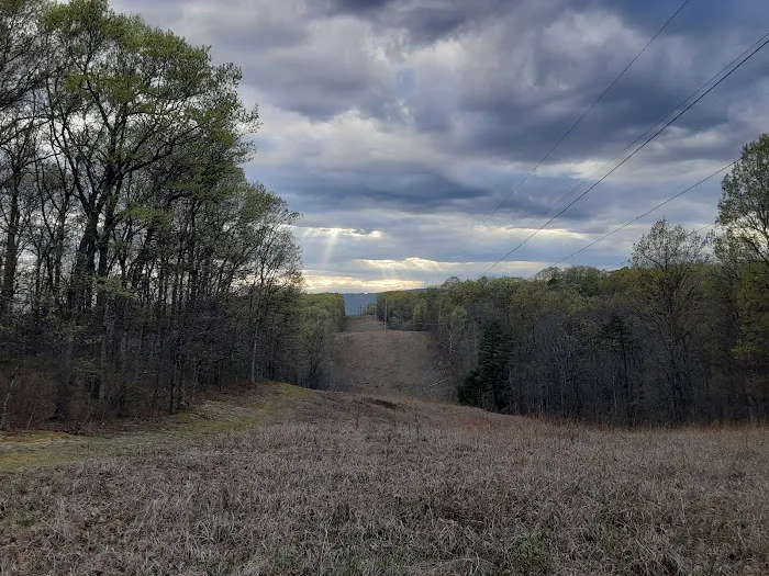 Campsite 51 Picture 8