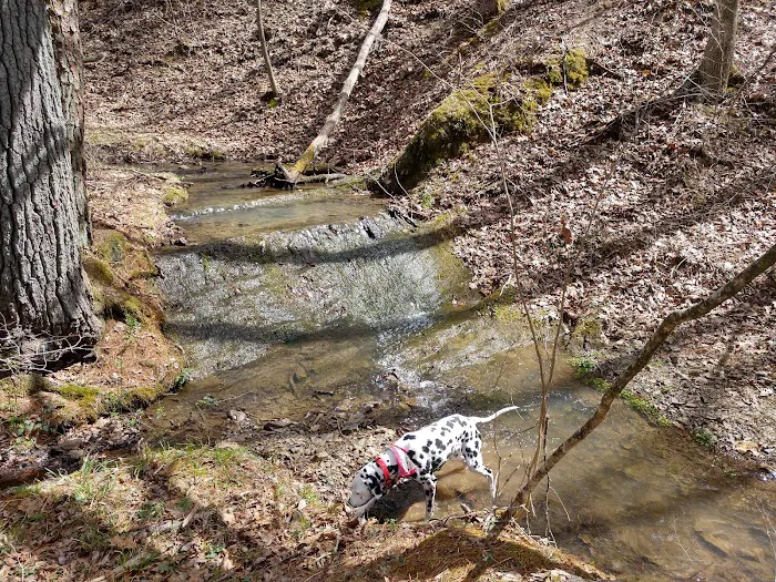 Campsite 51 Picture 6