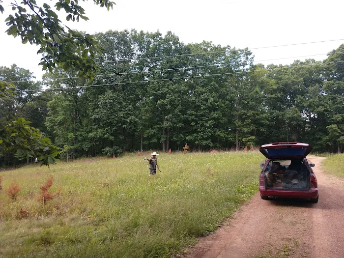 Campsite 51 Picture 3