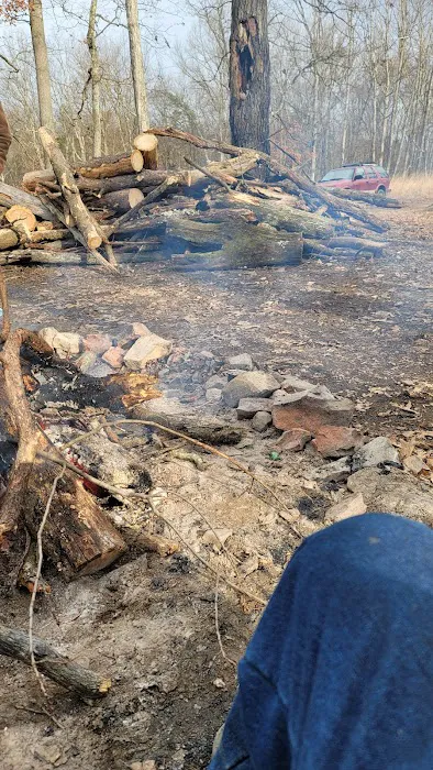 Campsite 51 Picture 5