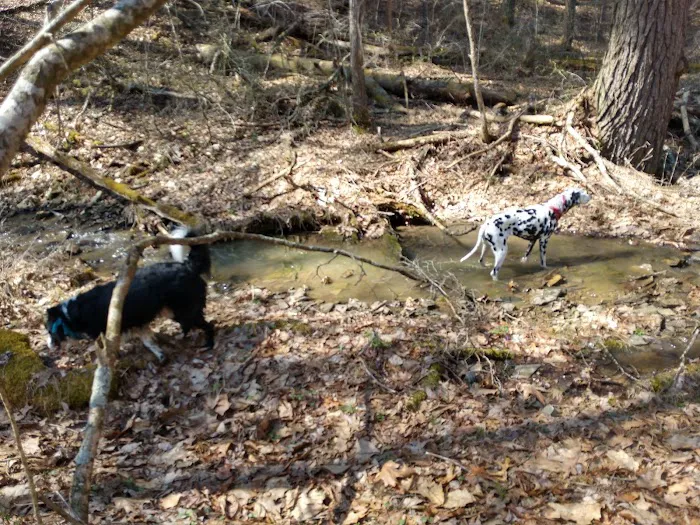 Campsite 51 Picture 4