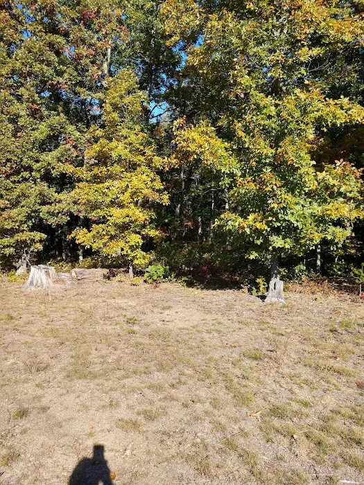 Campsite 51 Picture 7