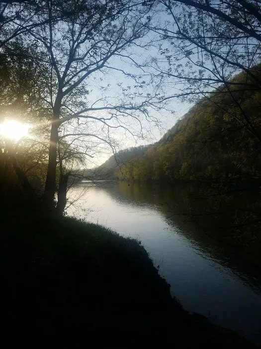 Town Creek Campsite Picture 6