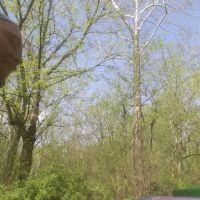 Town Creek Campsite ico