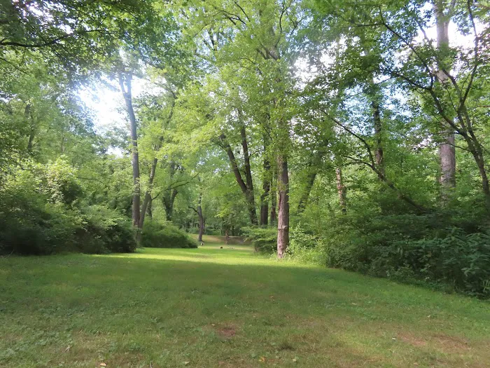 Town Creek Campsite Picture 9