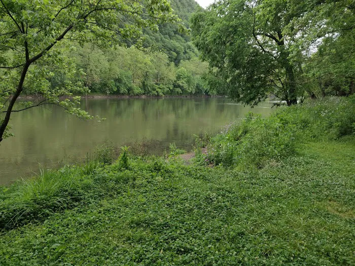 Town Creek Campsite Picture 7