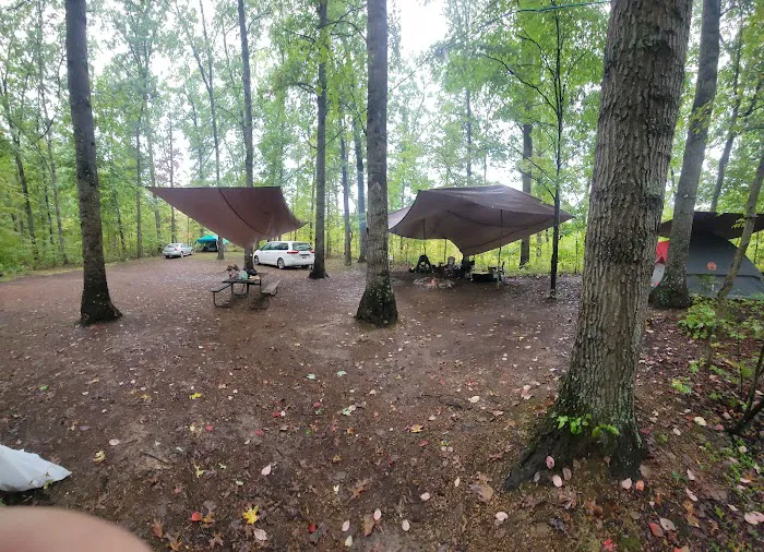 Campsite 38 Picture 4