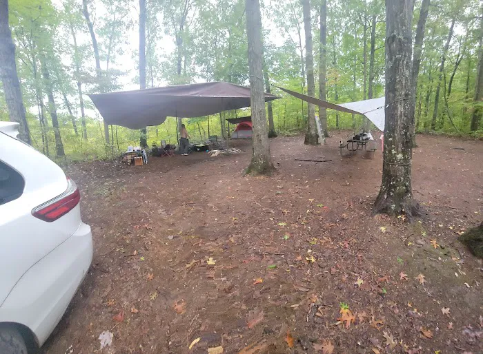 Campsite 38 Picture 2