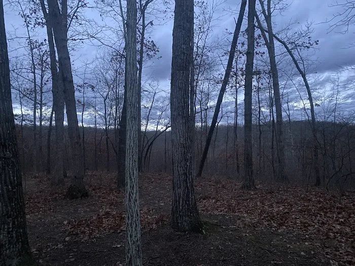 Campsite 38 Picture 7