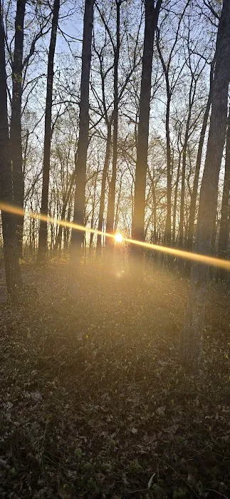 Campsite 39 Picture 1