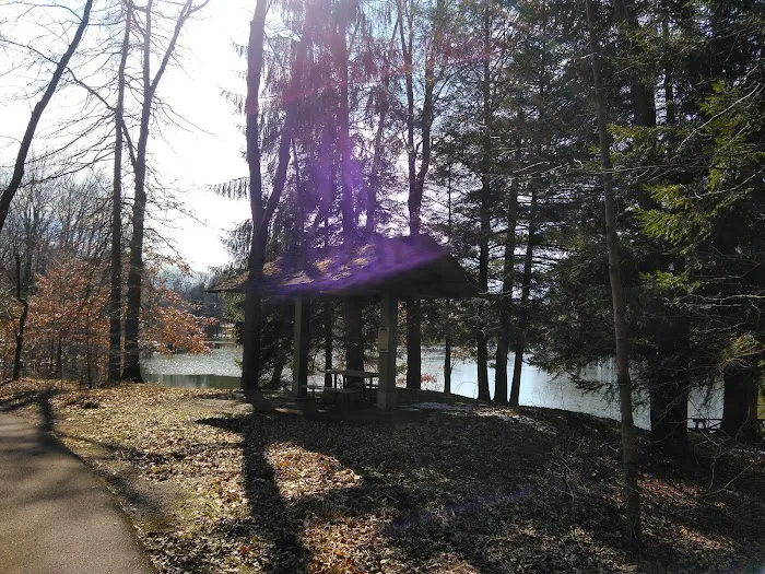 Five Points Organized Group Campground Picture 4