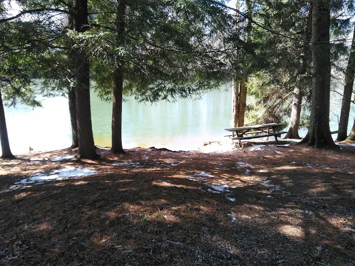 Five Points Organized Group Campground Picture 5