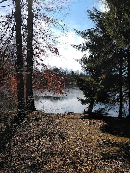 Five Points Organized Group Campground Picture 7