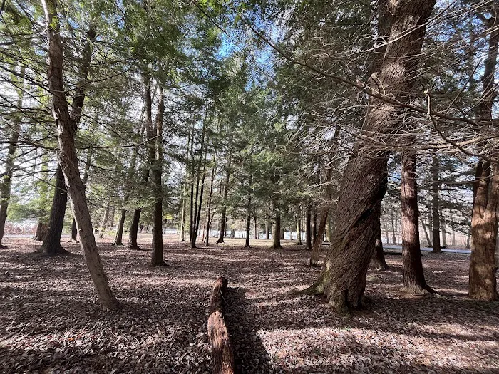 Five Points Organized Group Campground Picture 6