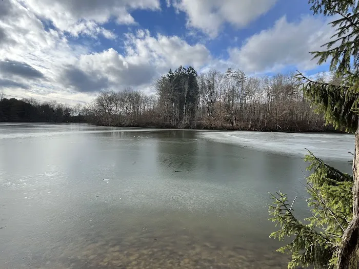 Five Points Organized Group Campground Picture 2