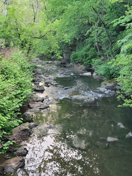 Montour Trail Campground Picture 6