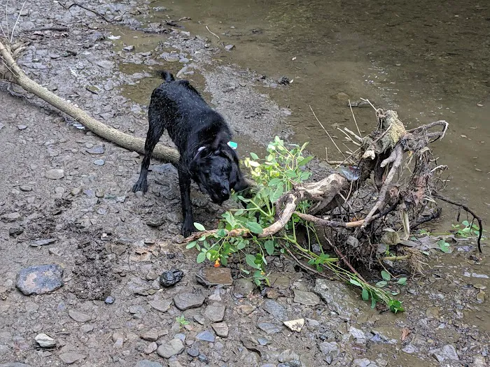 Montour Trail Campground Picture 2