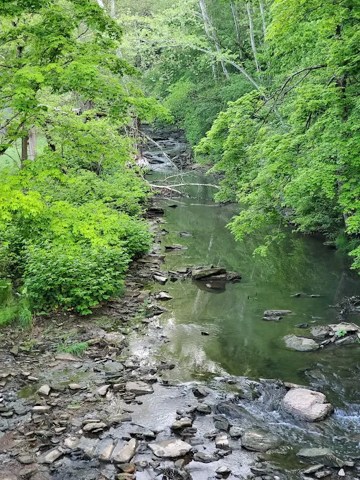 Montour Trail Campground Picture 7