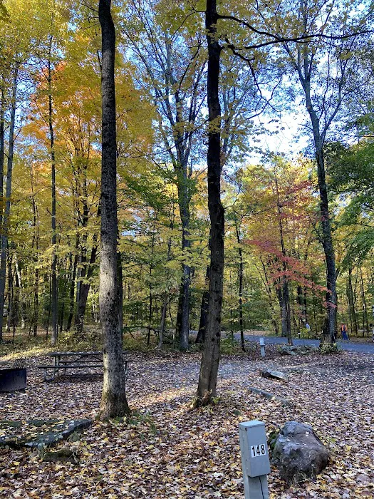 Ohiopyle State Park Kentuck Campground Picture 6