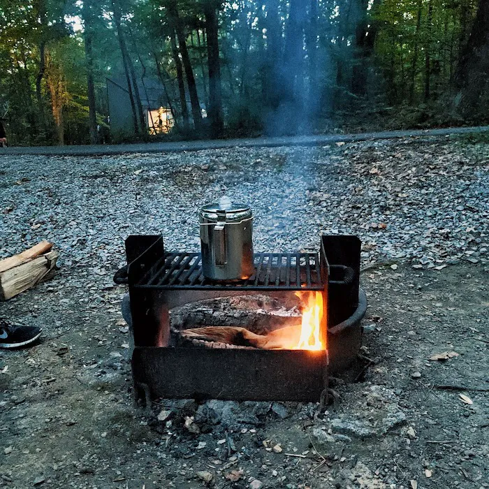 Ohiopyle State Park Kentuck Campground Picture 7