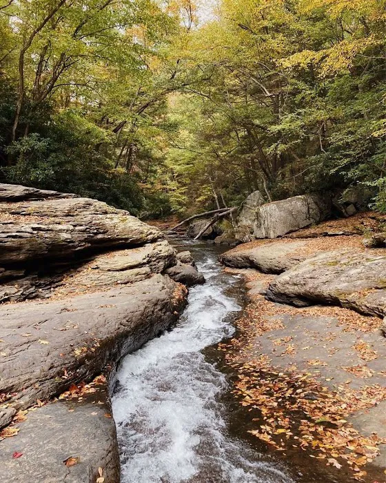 Ohiopyle State Park Kentuck Campground Picture 9