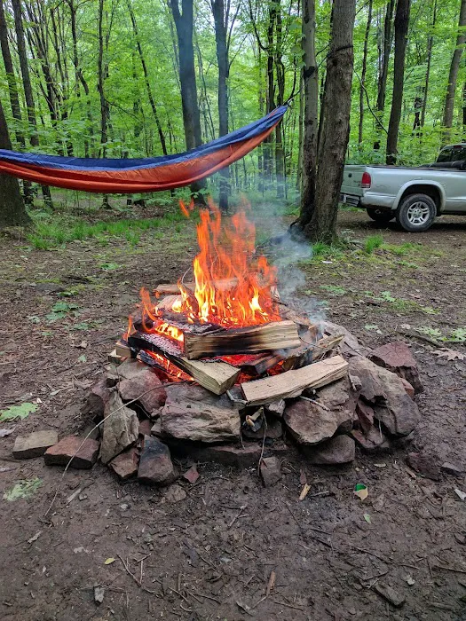 Scarlett Knob Campground Inc Picture 4