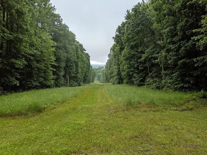 Benner's Meadow Run RV Campground Picture 4