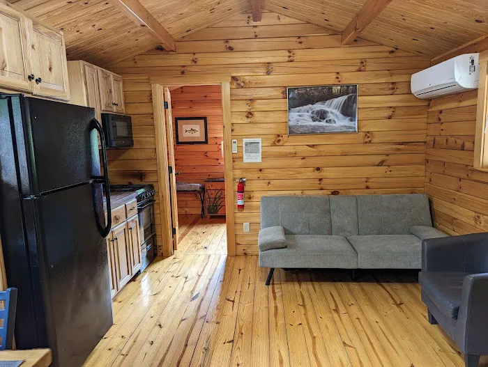 Benner's Meadow Run RV Campground Picture 3