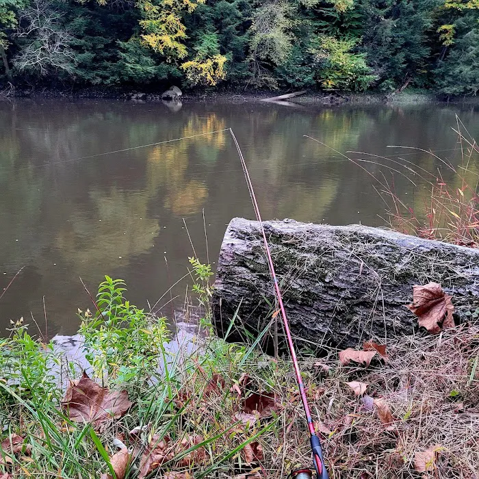 Anglers Rest Campground Picture 8