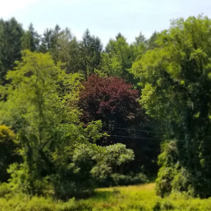 Anglers Rest Campground Picture 2