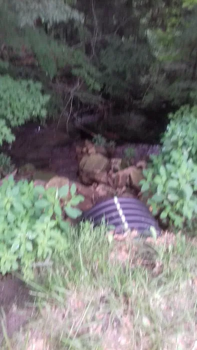 Wesleyan Methodist Campground Picture 1