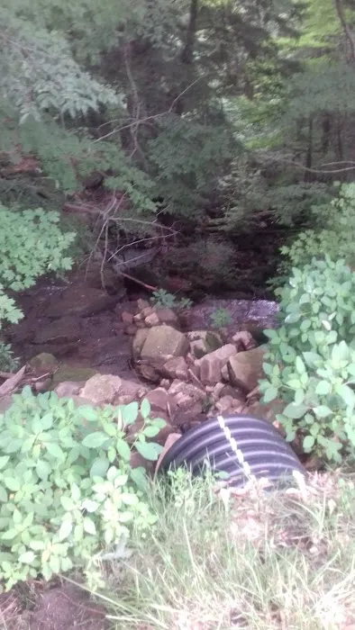 Wesleyan Methodist Campground Picture 2