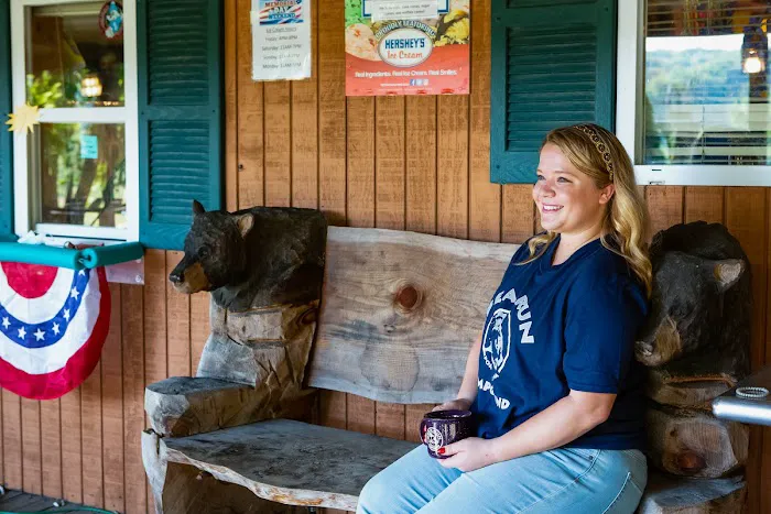 Bear Run Campground Picture 7