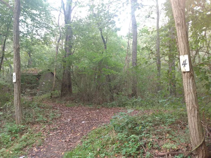 Cecil Henderson Montour Trail Campground Picture 6