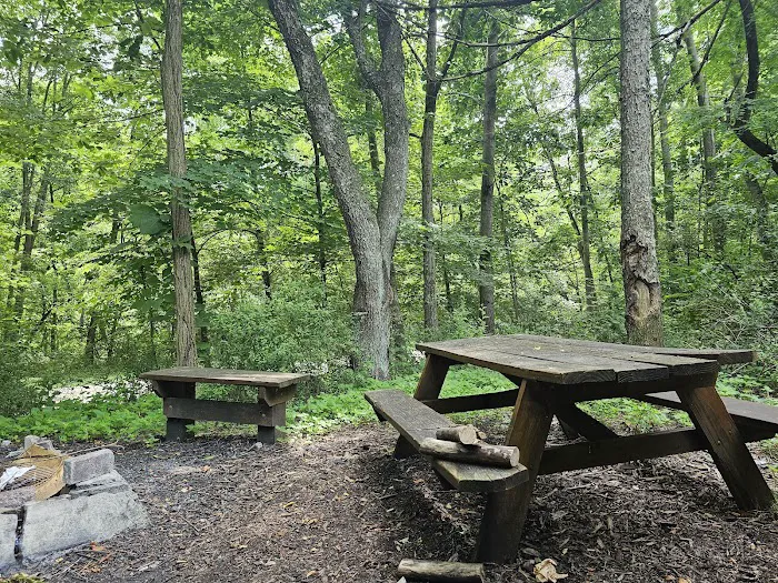 Cecil Henderson Montour Trail Campground Picture 9
